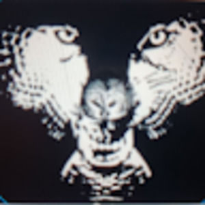 Meet your Posher, Willow